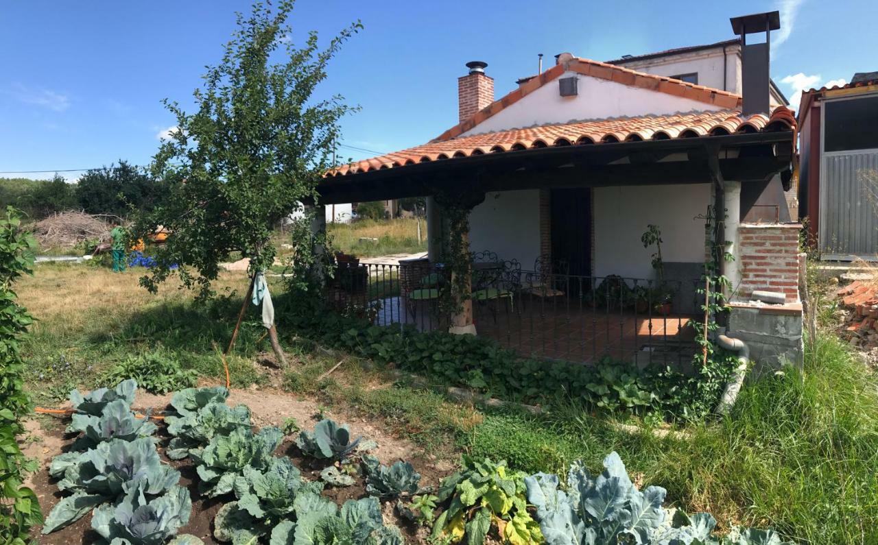Casa De Pueblo Con Merendero Alquilable Opcionalmente Casarejos Екстериор снимка